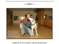 stirlingtaichi.com