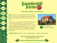 saunderskill.com