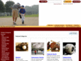 whitemountainsportsdepot.com