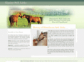 equinehimalayansaltlicks.com