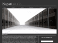 napati.com