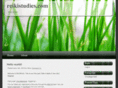 reikistudies.com