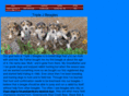triplejbeagles.com
