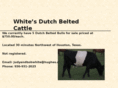 whitesdutchbeltedcattle.com