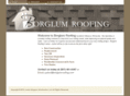 borglumconstruction.com