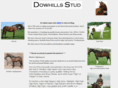 dowhillsstud.com