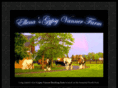 ellenasgypsyvannerfarm.com