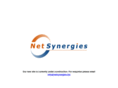 netsynergies.biz