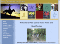 petsgalorehorserides.com