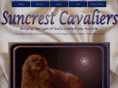 suncav.com