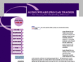 audiowizardproeartrainer.com