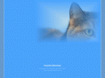 creeksidevetclinic.com