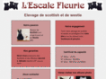 elevage-scottish.com