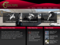 geckovideo.ca
