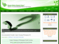 greenstepscarpetcare.com
