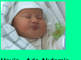 havin-ada-akdemir.com