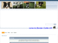 bordercollieuk.co.uk