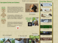 springdalehome.com