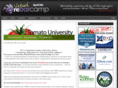 tomatocamp.com
