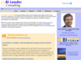 bileader.com
