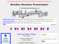 brindleemountainsquares.com