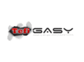 tefigasy.com