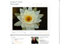 cynthiahunterphotography.com