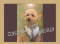 kito2poodle.com