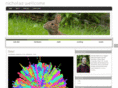 nicholaswellcome.com