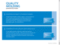 quality-molding.com