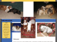 dmdbulldogs.com