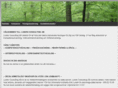 lundinconsulting.com