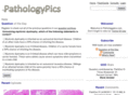 pathologyfaqs.com