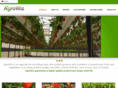 agrowiz.com