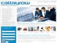 caltayrowfinancialsolutions.com