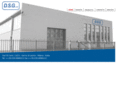 dsgsrl.com