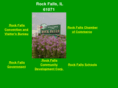 rockfallsil.com