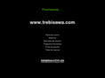 trebisawa.com