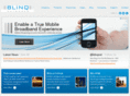 blinqnetworks.com