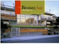bronzeagemetal.com