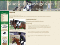 janekellydressage.com