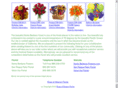 santa-barbara-florist-directory.com