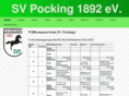 svpocking-fussball.de