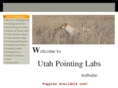 utahpointinglabs.com