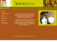 vins-tso.com