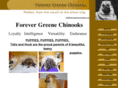 forevergreenechinooks.com