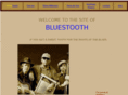 bluestooth.nl