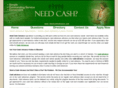 idealcashadvance.com