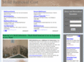 moldremovalcost.org