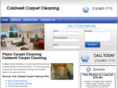 planocarpetcleaning.net